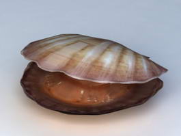Mussel Shell 3d preview