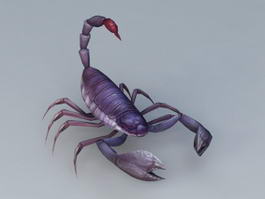 Scorpion Animal 3d model preview