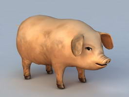 Domestic Pig 3d model preview