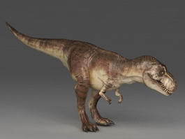 Tyrannosaurus rex 3d model preview