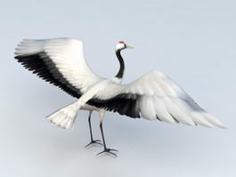 Red Head Crane Bird 3d model preview