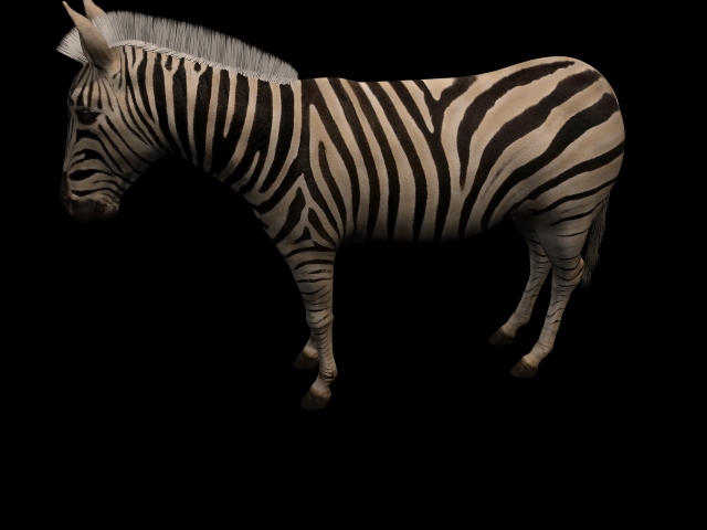 Grants Zebra 3d rendering