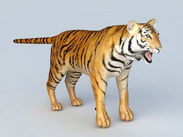 Malayan Tiger 3d rendering