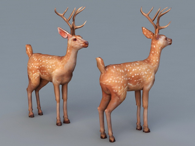 Male Spotted Deer 3d rendering