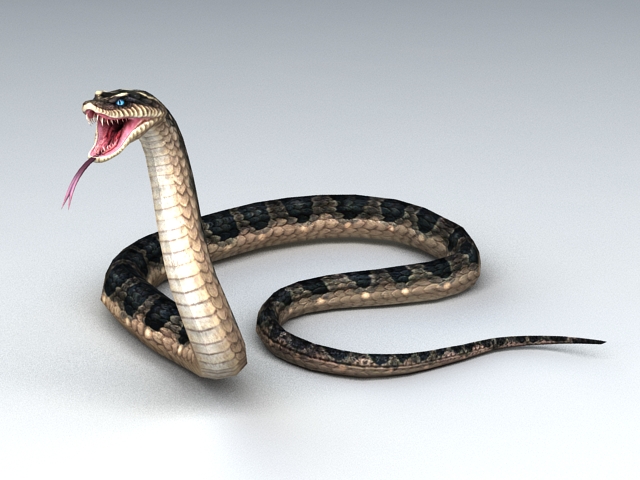 Cobra Snake 3d model - CadNav