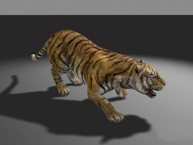 Bengal Tiger 3D Animal Model