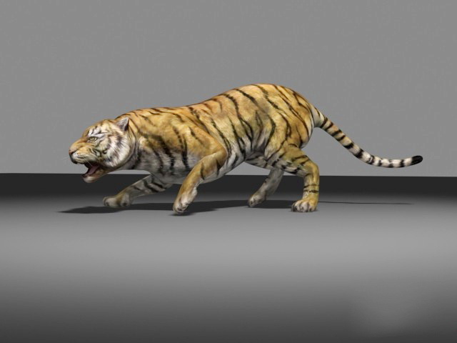 Bengal Tiger 3D Animal Model
