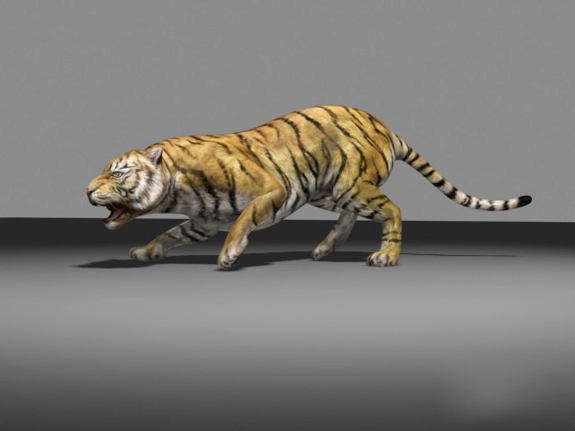 Tiger 3d model free download - CadNav