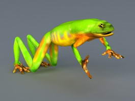 Green Tree Frog 3d model preview