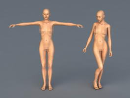 Naked Woman Figures 3d model preview