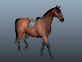 Arabian Horse 3d model preview
