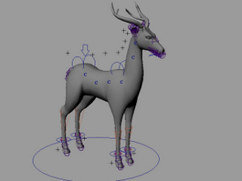 Buck Deer Rig 3d model preview