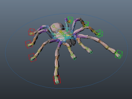 Tarantula Spider Rig 3d model preview