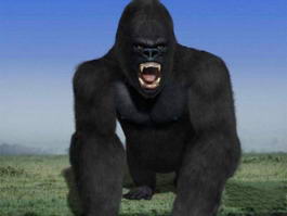 King Kong 3d preview