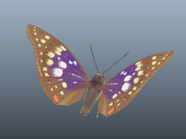 Great Purple Emperor Butterfly 3d preview