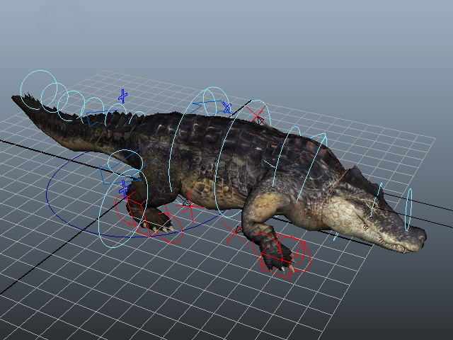 American Crocodile Rig 3d rendering