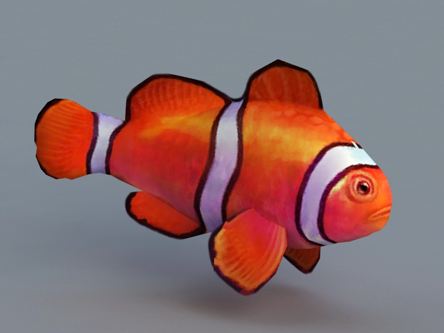 Animated Clownfish 3d model 3ds Max files free download