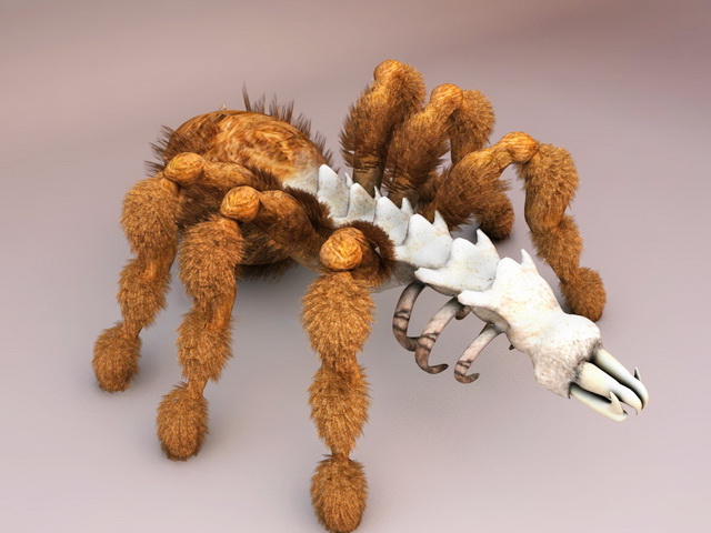 Dead Mother Spider 3d rendering