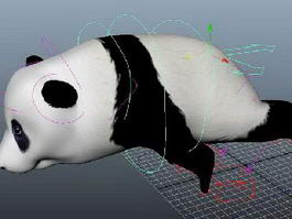 Panda Bear Rig 3d model preview