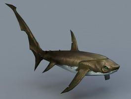 Thresher Shark 3d model preview
