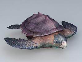 Deep Sea Turtle 3d model preview