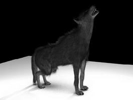 Animated Wolf 3d model preview