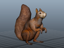 Fat Squirrel 3d model preview