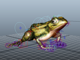 Brown Frog Rig 3d model preview