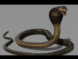 Cobra Snake 3d model preview