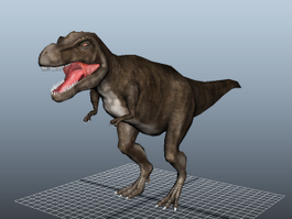 Tyrannosaurus Rex Dinosaur 3d model preview