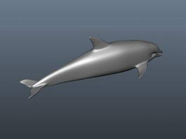 Dolphin Animal 3d model preview