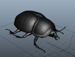 Black Lawn Beetle Rig 3d model preview