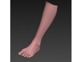 Human Foot 3d model preview