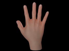 Human Hand 3d model preview
