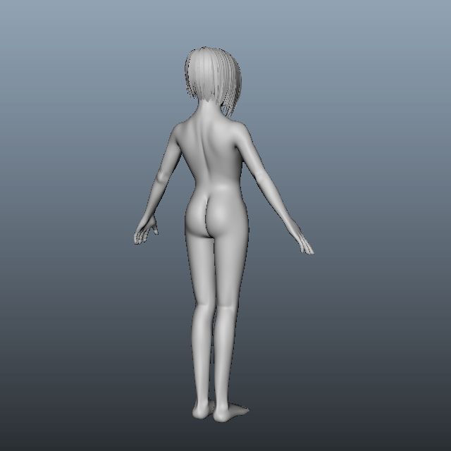 Adult Woman Body 3d rendering