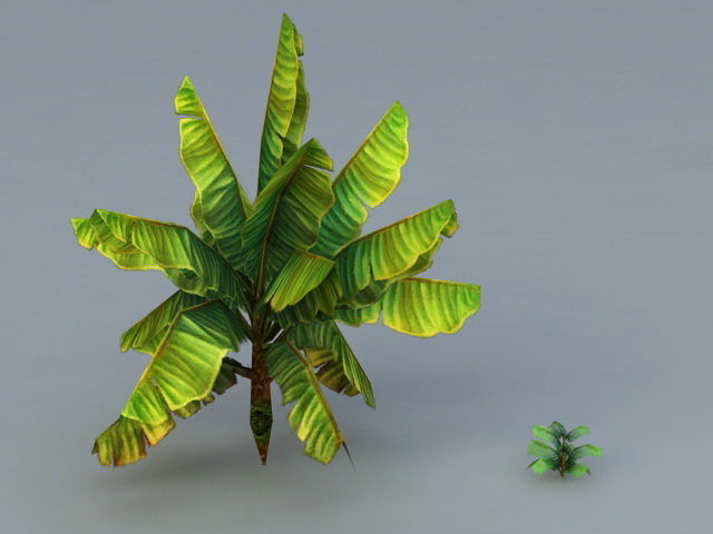 Low Poly Banana Tree 3d rendering