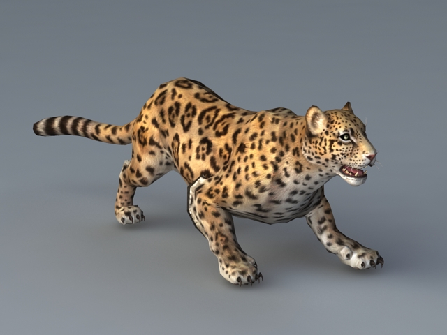 Animated Jaguar Animal 3d model - CadNav
