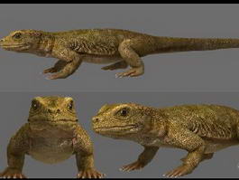 Komodo Dragon 3d preview