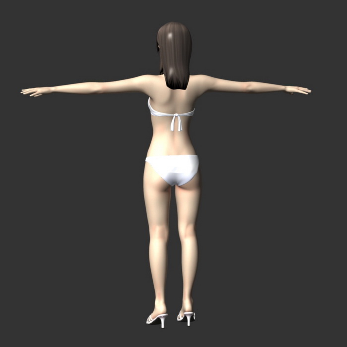 Woman Wearing Bikini 3d rendering