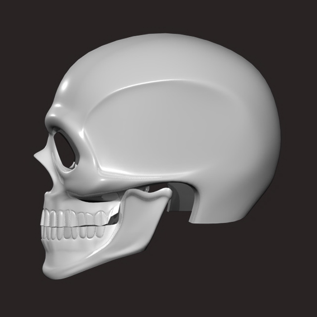 Human Skull 3d rendering