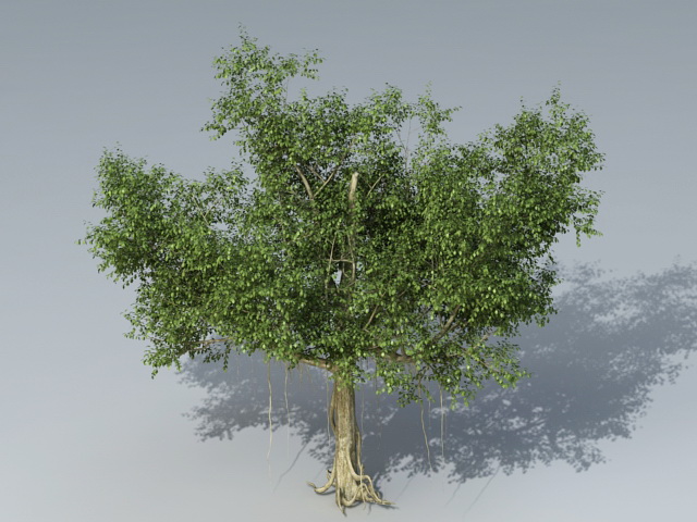 Banyan Tree 3d rendering