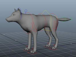Grey Wolf Rig 3d model preview