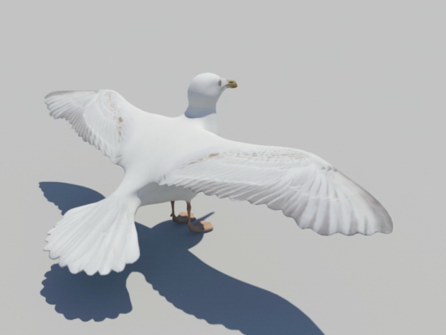 Seagulls Flying 3d rendering