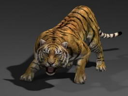 Sumatran Tiger 3d model preview