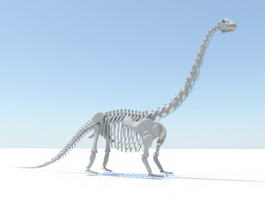 Apatosaurus Skeleton 3d model preview
