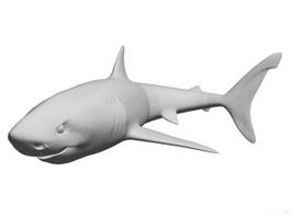 Scary Shark Rig 3d model preview