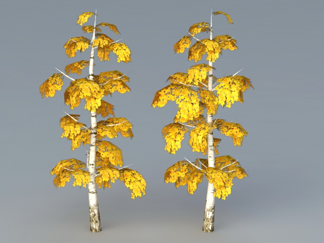 Birch Tree Fall Color 3d rendering