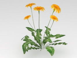 Dandelion Leaves Flower 3d model preview