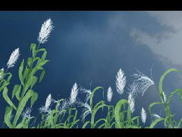 Tall Reed Grass 3d preview