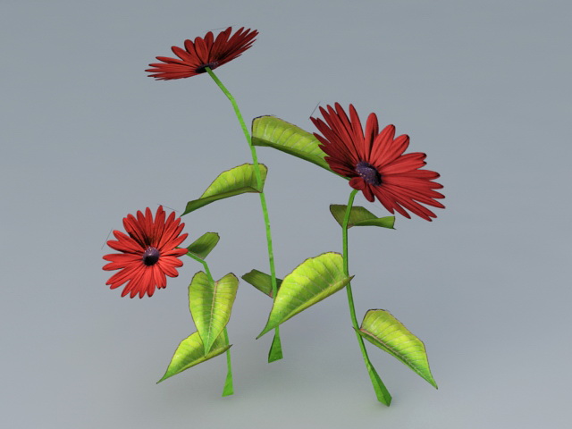 Red Flower Plant 3d rendering